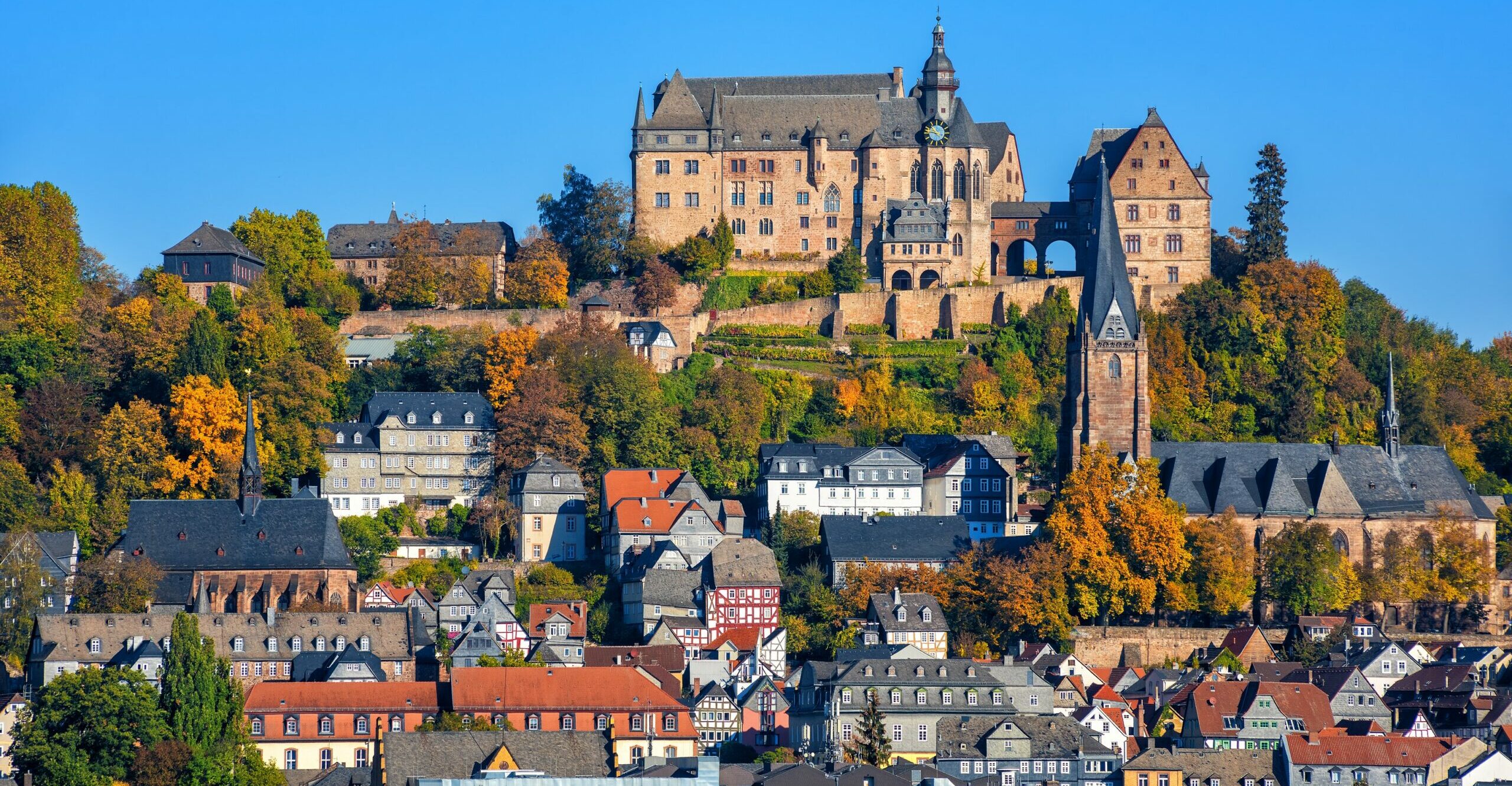 Growing a Business in Germany